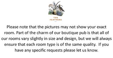 The Feathers Holt