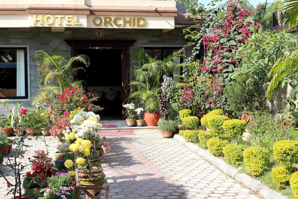 Hotel Orchid