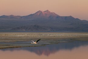 Our Habitas Atacama
