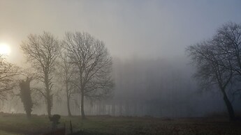 Park 7