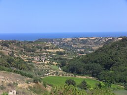 Il Corbezzolo