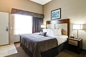 Canalta Shaunavon
