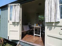 Wilderness B&B