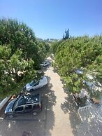 The Palm Club Apart Otel