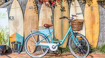 The Carmel Yamba