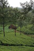 Wild Elephant Eco-Friendly Resort