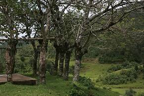 Wild Elephant Eco-Friendly Resort