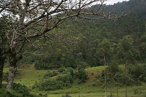 Wild Elephant Eco-Friendly Resort