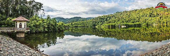 Madagui Forest City