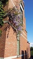 Fine Fleur Bed & Breakfast