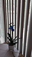 Fine Fleur Bed & Breakfast