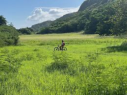 Royal Isabela