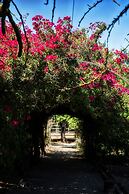 Quinta da Praia das Fontes