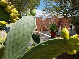 Tenuta Doxi