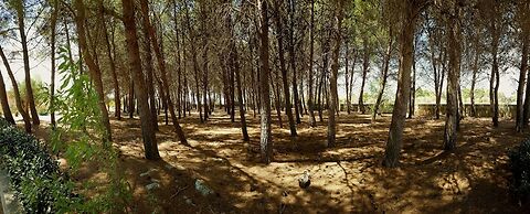 Tenuta Doxi