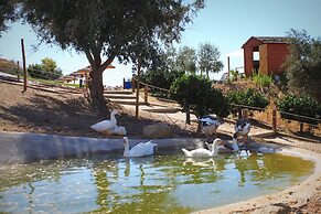 Hotel O Gato & Spa