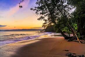 Copa De Arbol Beach & Rainforest Resort