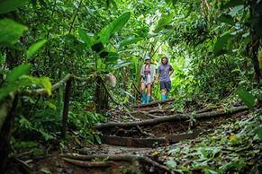 Copa De Arbol Beach & Rainforest Resort