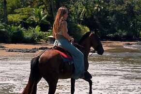 Copa De Arbol Beach & Rainforest Resort