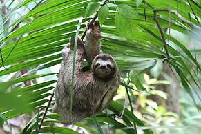 Copa De Arbol Beach & Rainforest Resort