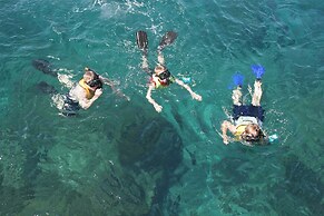 Copa De Arbol Beach & Rainforest Resort