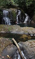 Copa De Arbol Beach & Rainforest Resort