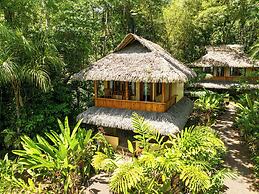 Copa De Arbol Beach & Rainforest Resort