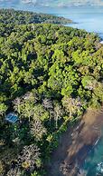 Copa De Arbol Beach & Rainforest Resort