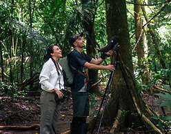 Copa De Arbol Beach & Rainforest Resort
