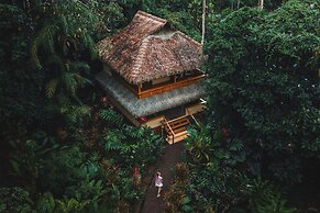 Copa De Arbol Beach & Rainforest Resort