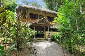 Copa De Arbol Beach & Rainforest Resort