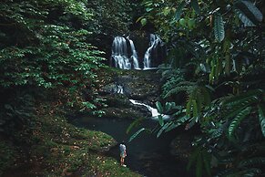 Copa De Arbol Beach & Rainforest Resort