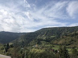 Hotel Terem
