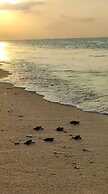 Samabe Bali Suites & Villas