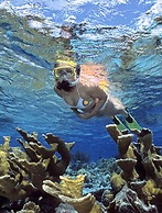The Lodge Bonaire