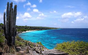The Lodge Bonaire