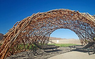 Sossus Oasis Camp Site