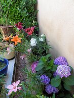 Le Jardin d'Ivana