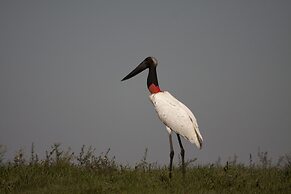 Ibera Lodge
