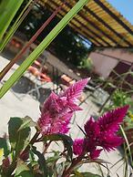 Pension Marlis