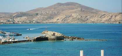 Despina's Mare
