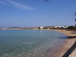 Despina's Mare