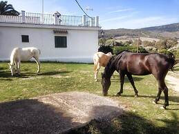 Cortijo Las Piñas
