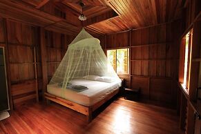 Khaosok Palmview
