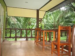 Khaosok Palmview