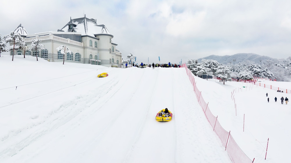 VivaldiPark
