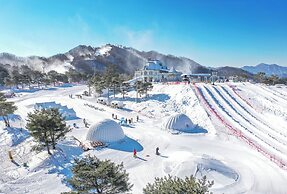 VivaldiPark