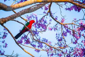 Tamborine Mountain B&B