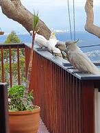 Tamborine Mountain B&B