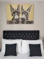 Q Accommodation